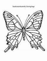 Monarch Swallowtail Morpho Davemelillo Picturesfor sketch template
