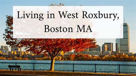 the complete and ultimate guide to living in west roxbury