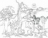 Safari Coloring Pages African Getcolorings Animals Baby Printable sketch template