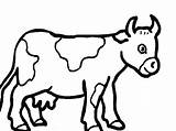 Cow Coloring Pages Cartoon Printable Clipart Cute sketch template
