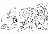 Herfst Hedgehog sketch template
