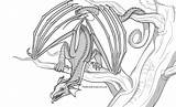 Peregrinecella Rainwing Wof Base Dragon Skywing sketch template