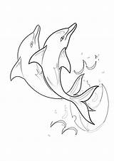 Delfini Disegni Momjunction Dolphin Coloring sketch template