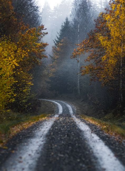 country road sweden by magnus dovlind cr landscape