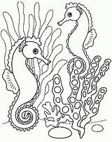 Mer Colorir Animais Mare Hippocampe Marin Colorat Morski Konik Imagensemoldes Morskie Kolorowanki Caballito Koniki Caluti Carle Imagini Ausmalbilder Malvorlagen Ausmalen sketch template