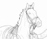Horse Lineart Coloring Pages Racehorse Drawing Dressage Deviantart Line Bridle Thoroughbred Horses Drawings Race Printable Head Knight Thor Sketch Color sketch template