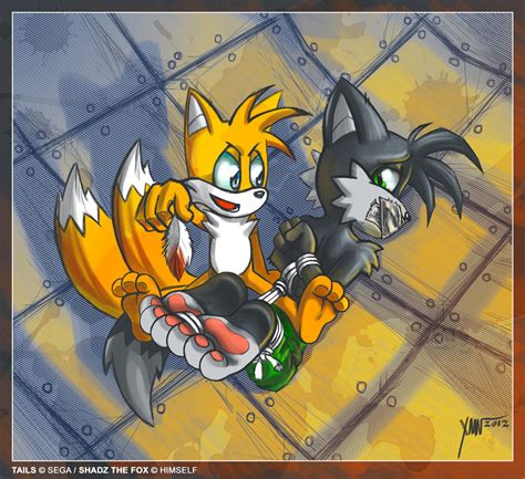 At With Ximonr Shadz And Tails By Shadz The Fox Fur
