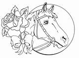 Coloring Pages Seabiscuit Popular Racing Horse sketch template