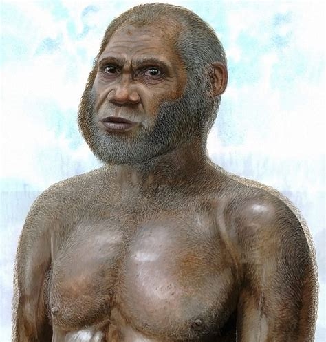 fossil suggests new hominid species stone age cavemen red deer people