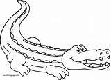 Crocodile Coloring Alligator Woman Wecoloringpage sketch template