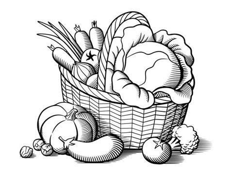 basket full  fruits  vegetables drawing
