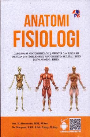 gambar cover buku  berjudul otot manusia galeri sampul