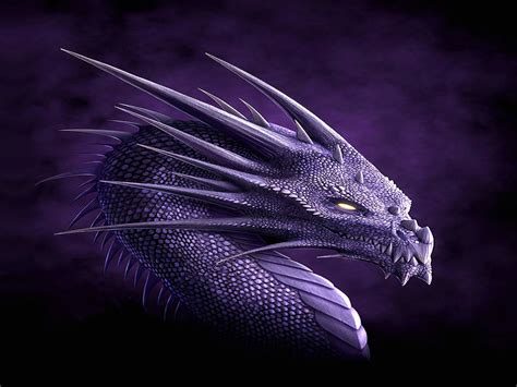 purple dragon wallpapers wallpaper cave