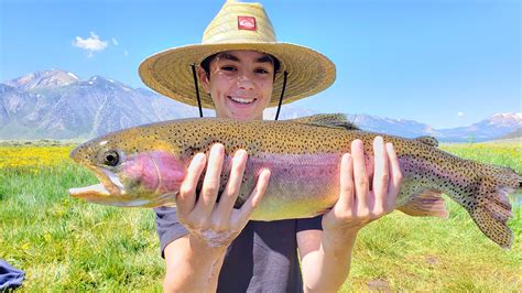 trout fishing california  trophy rainbow brown cutthroat trout