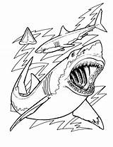 Coloring Shark Pages Sharks Printable Print Hungry Evolution Kids Megalodon Color Adults Jaws Cartoon Great Ocean Drawing Book Template Bestcoloringpagesforkids sketch template