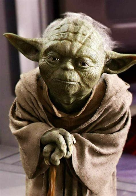 10 Best Wisdom From Yoda Images On Pinterest Yoda Quotes