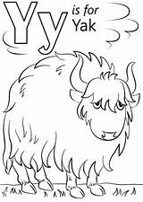 Letter Yak Preschoolers Colouring Supercoloring Tracing sketch template