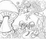 Coloring Pages Mushroom Psychedelic Mushrooms Printable Trippy Wonderland Alice Adults Adult Drawing Toadstool Books Print Colouring Kodak Getcolorings Getdrawings Color sketch template