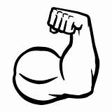 Strong Vector Arm Icon Biceps Flex Vecteezy Bodybuilder sketch template