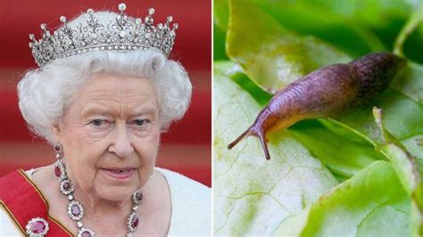 the queen once found a slug in her salad and sent the chef a brutal