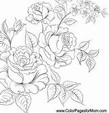Coloring Pages Flower Wedding Adults Line Adult Flowers Choose Board Drawing Colorpagesformom Drawings Color Colouring sketch template