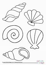 Colouring Shell Sea Shells Coloring Pages Beach Summer Printable Seaside Template Kids Seashell Colour Drawing Mar Crafts Activityvillage Mermaid Fun sketch template