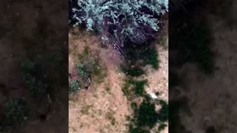 moment ukrainian drone drops grenade russian troops dug  fighting positions historical