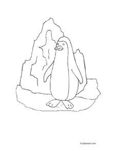 penguin coloring page worksheet  st grade lesson planet