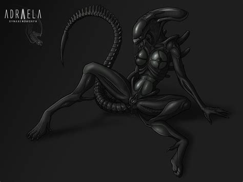 1500703 Alien Netherwulf Xenomorph Hot And Sexy Alien