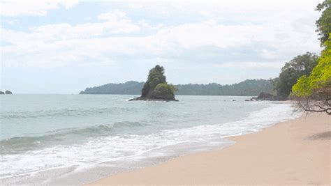 costa rica beaches s find and share on giphy