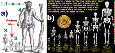 Beyond The Old Teaching 12 Giant Humans And The Secrets Of Evolution