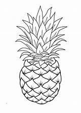 Pineapple Coloring Pages Fruit Line Template Drawings Printable Drawing Easy Pinapple Cute Fruits Sheets Print Adult Choose Board sketch template