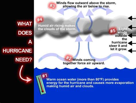 hurricane works samjhurricanescom