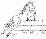 Jumping Horse Draw Fence Drawing Step Coloring Kids sketch template