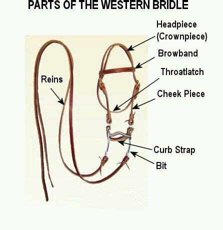 parts  western bridle western horse tack horse tips western bridles