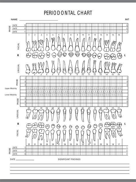 dental charting practice worksheet dental hygienist school dental