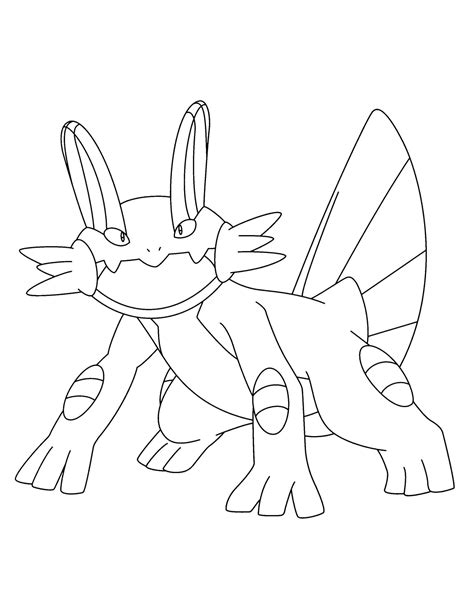 swampert coloring page images