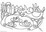 Pond Coloring Pages Life Printable Adults Kids sketch template