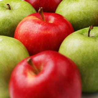khasiat buah apel  menanam pohon buah apel