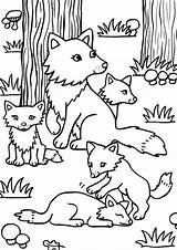 Fox Tulamama Catdog sketch template