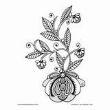 Coloring Bulb Flowering Want sketch template