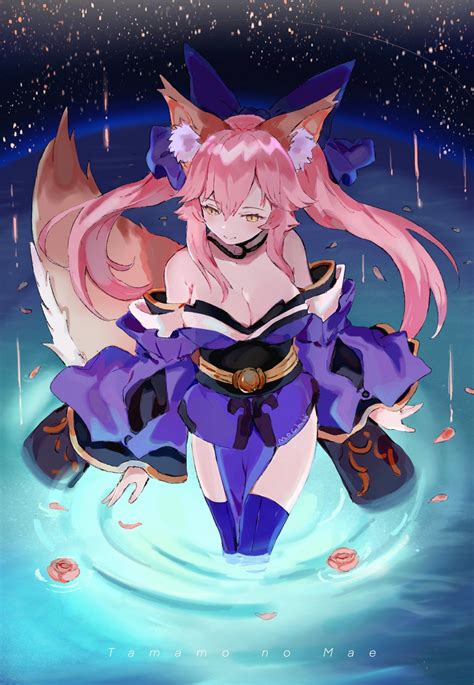 pin by omar alarby on fate tamamo no mae fate anime