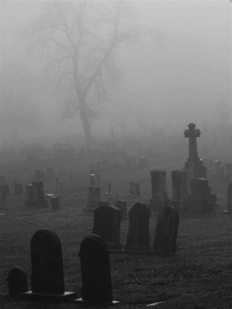 Cementary Via Tumblr Image 1229202 By Awesomeguy On