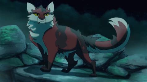 warrior cats nightrizer gif warrior cats nightrizer marshal dear discover share gifs