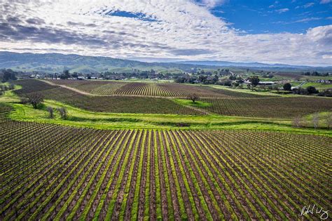 livermore valley wine country photo richard wong photography