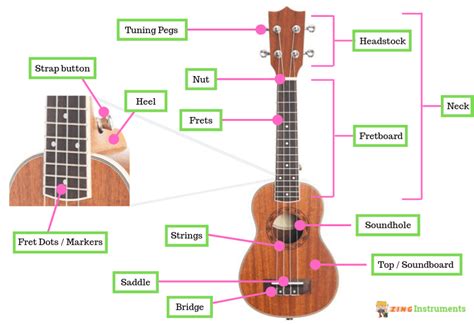 parts  beginners guide  ukulele anatomy ukulele classical guitar tough