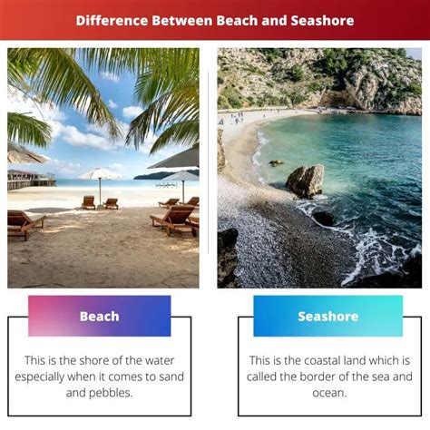beach  seashore difference  comparison