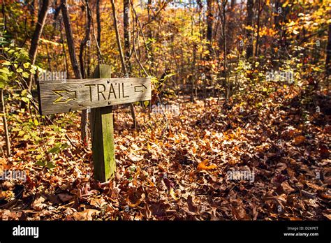 wooden trail signs points     hiking trail stock photo alamy