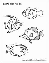 Printable Coral Reef Coloring Pages Fish Sea Ocean Animals Fishes Templates Drawing Creatures Animal Firstpalette Colouring Creature Set sketch template