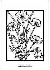 Coloring Flowers Trees Pages Plants Getdrawings sketch template
